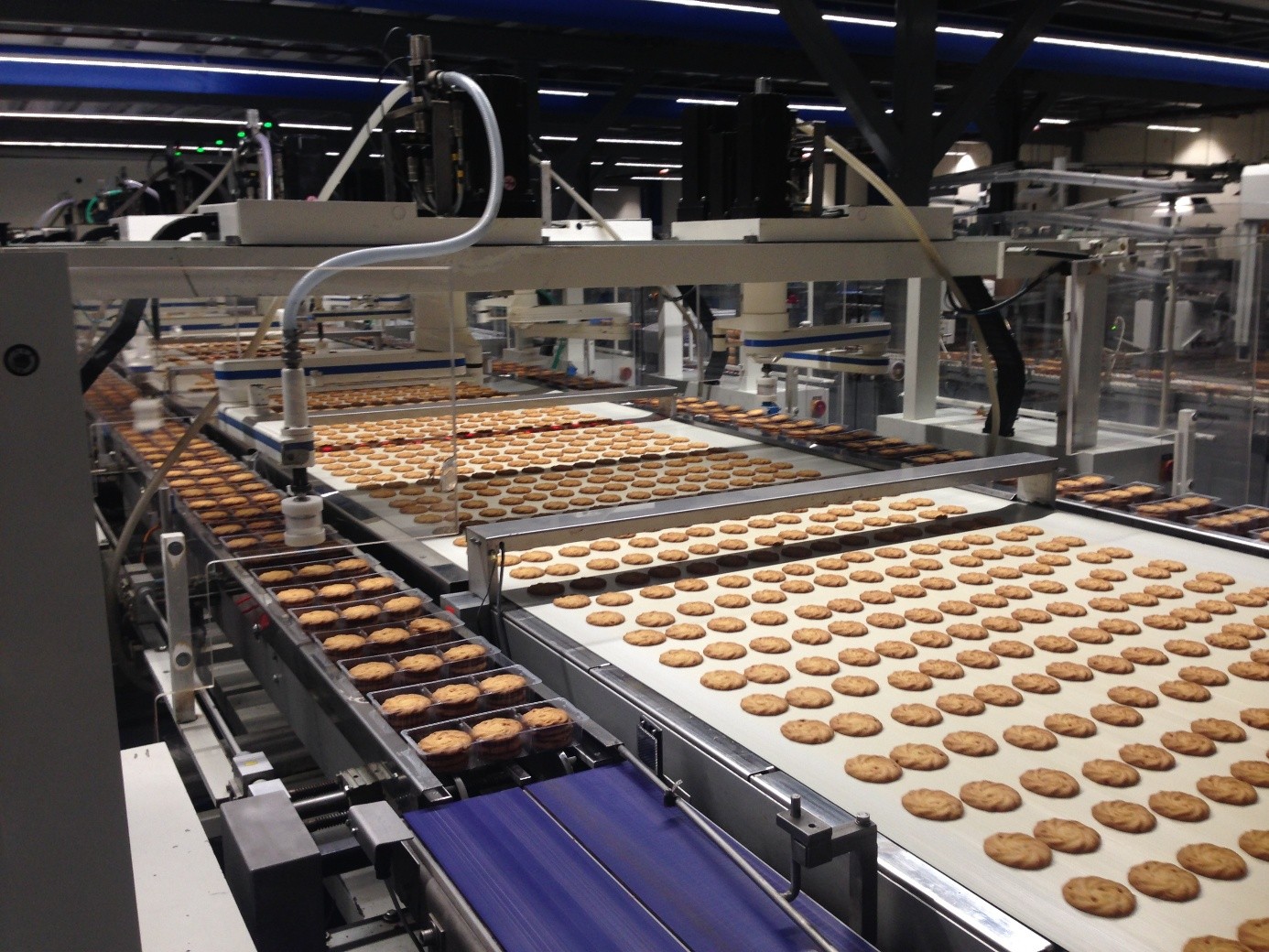 Koekjesfabriek